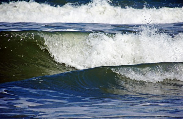 Surf Is Up by Deb Oppermann